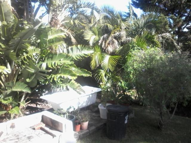 Self Catering Unit 6, Sandbaai Hermanus Extérieur photo