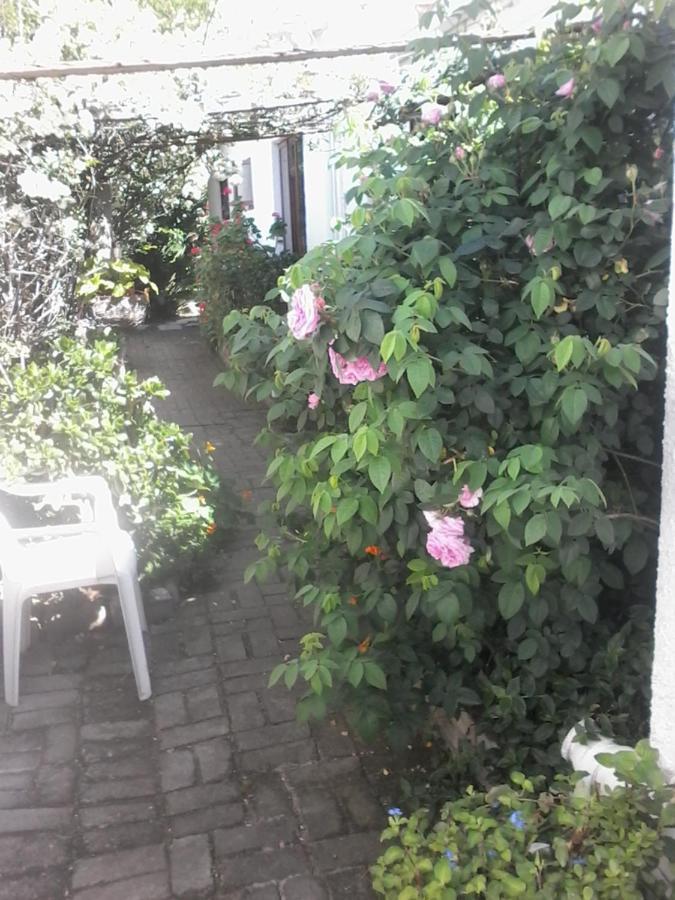 Self Catering Unit 6, Sandbaai Hermanus Extérieur photo