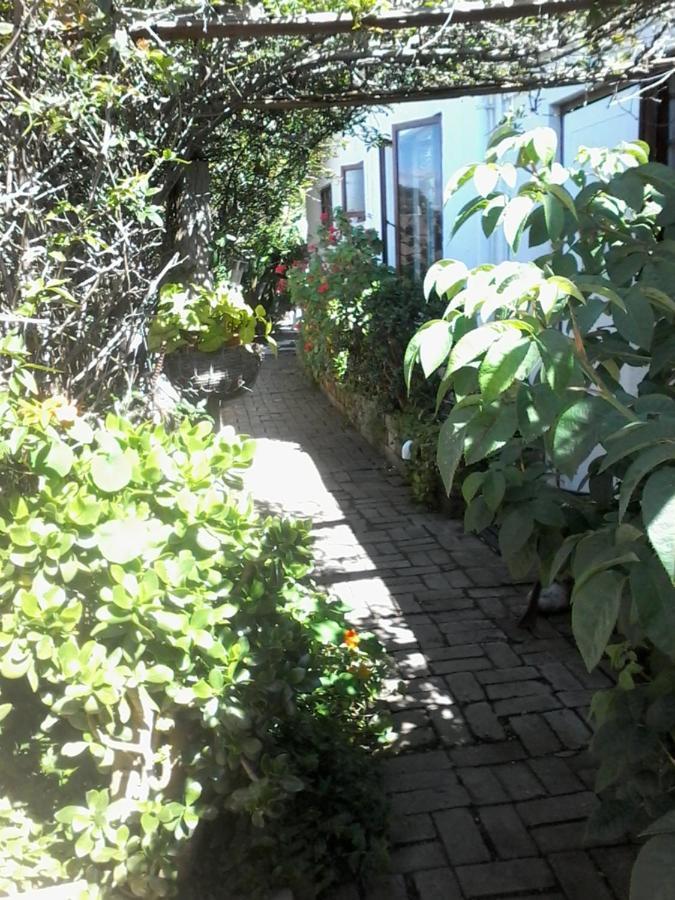 Self Catering Unit 6, Sandbaai Hermanus Extérieur photo