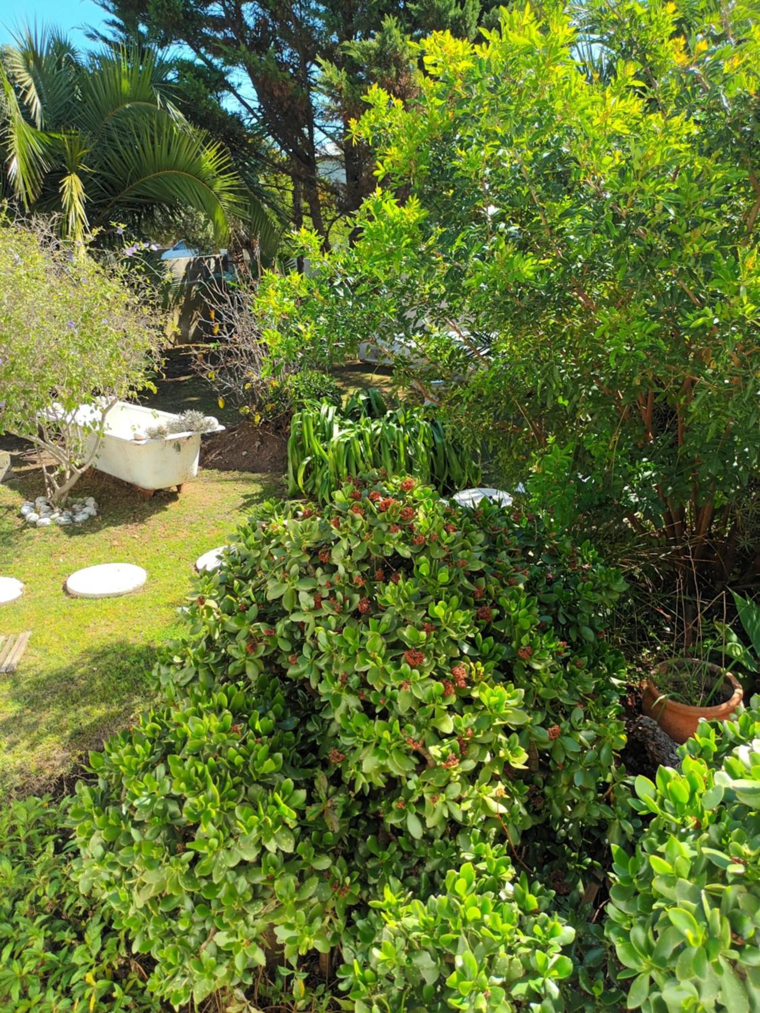Self Catering Unit 6, Sandbaai Hermanus Chambre photo